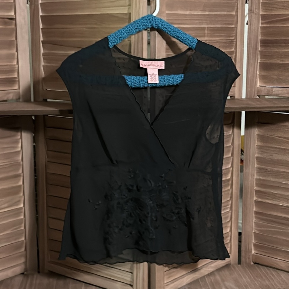 Stunning Sheer Black Embroidered Top
